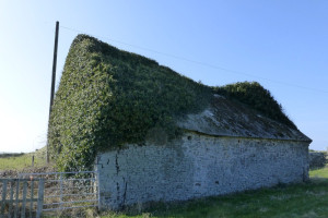 429 shop architects barn conversion stone barn overgrown
