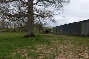 1277 Class Q barn conversion architects Devon 7