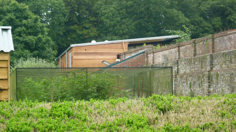 new build architecture heanton pool house 6