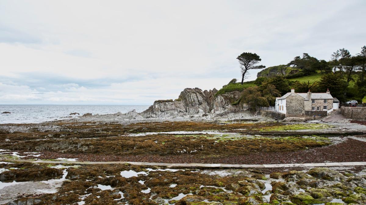 Mill House conservation view (Large)