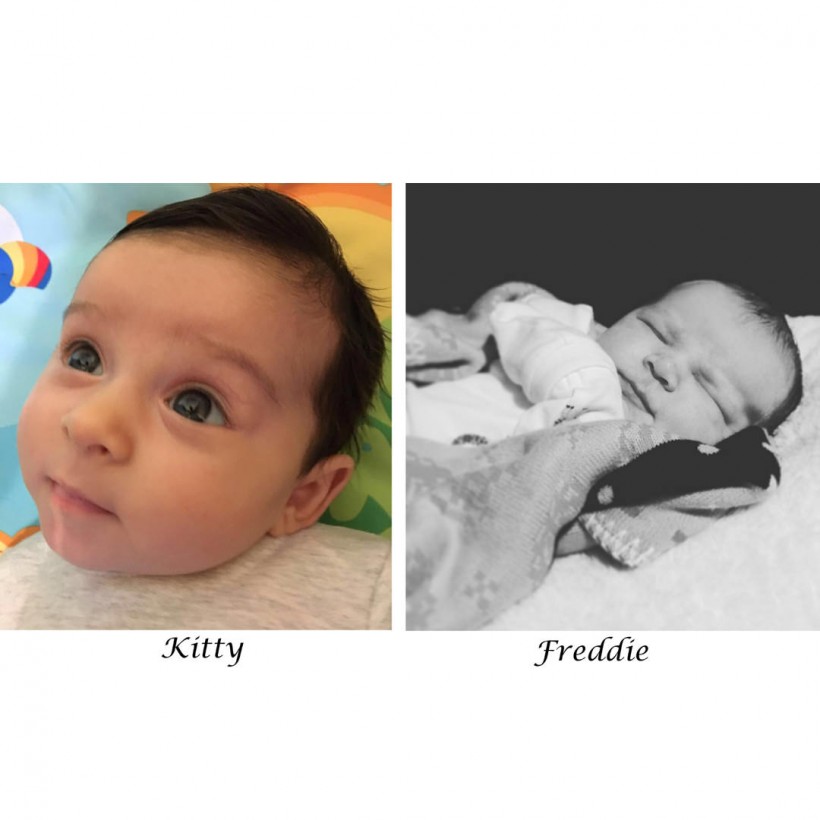 New additions to the JRA family!