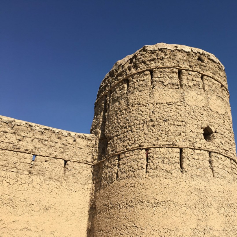 Cob in Oman