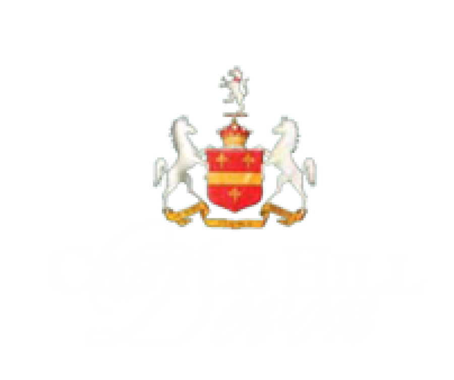 logo2