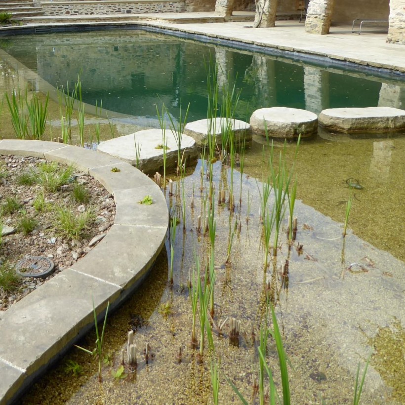 Technical blog - natural swimming pools