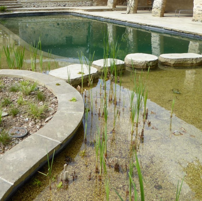 natural swimming pools thumbnail Large natural swimming pools thumbnail Large