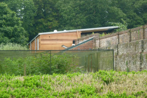 new build architecture heanton pool house 6