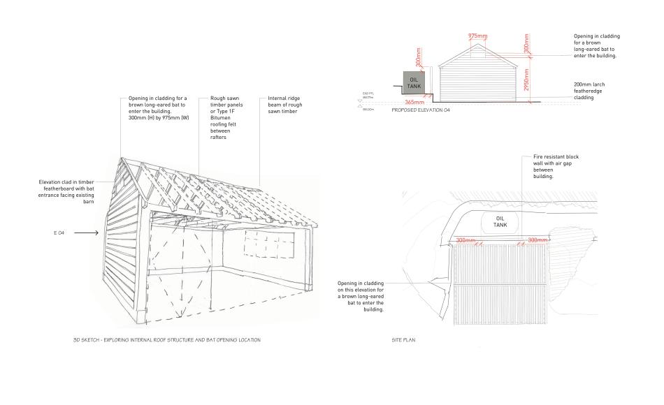 Designs for the replacement shed to accommodate bat roost