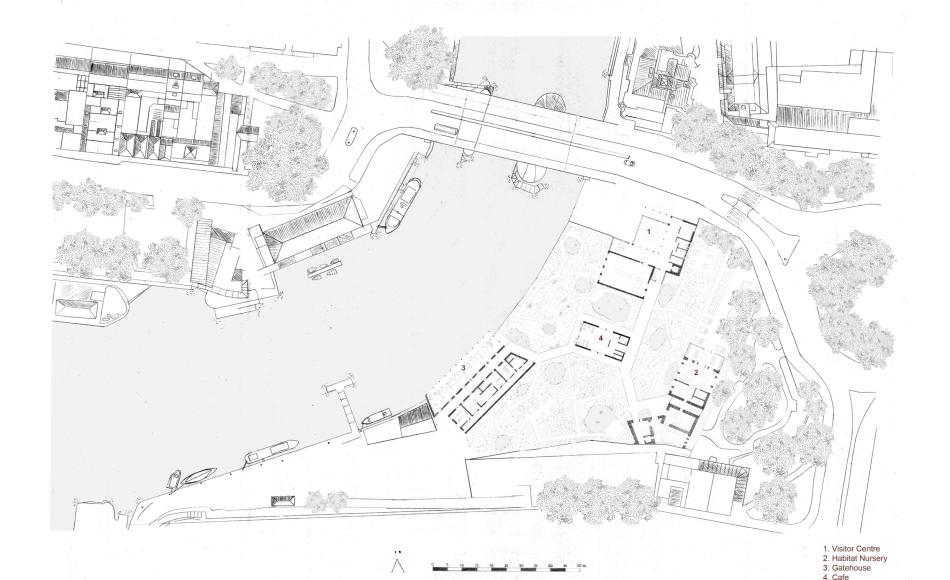 Melissa’s hand drawn masterplan of final project